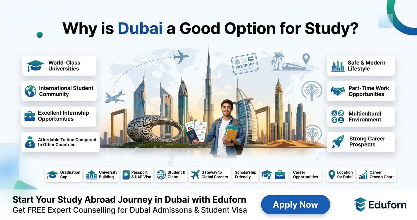 Why is Dubai a good option for study?
